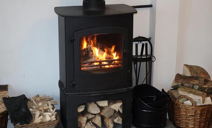 photo of Charnwood Cove multi-fuel log burning stove